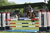 IMG_0010