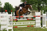 IMG_0003