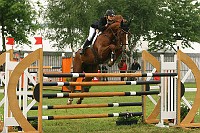 IMG_0060