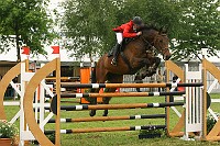 IMG_0116