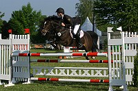 IMG_0012