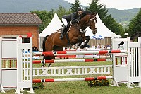 IMG_0048