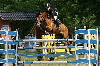IMG_0010