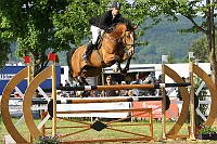IMG_0003