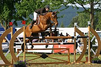 IMG_0019