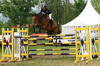 IMG_0041