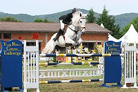 IMG_0026