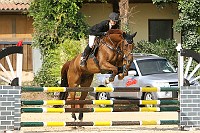 IMG_0017