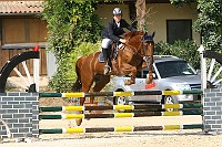 IMG_0041