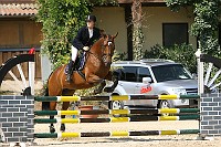 IMG_0069