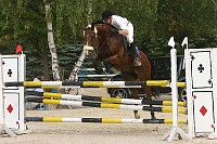 IMG_0017
