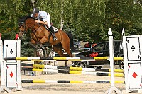 IMG_0010