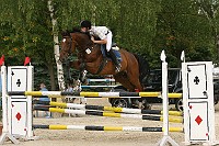 IMG_0031