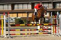 IMG_0006