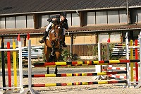 IMG_0012