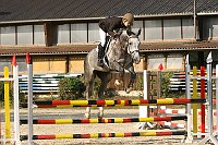 IMG_0029