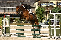 IMG_0033