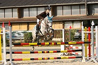 IMG_0038