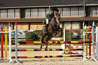 IMG_0047