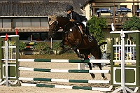 IMG_0048