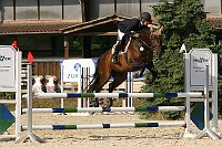 IMG_0049