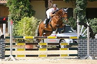 IMG_0010