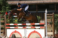 IMG_0018