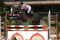 IMG_0041
