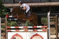 IMG_0061