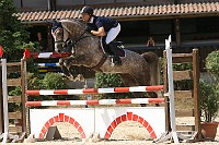 IMG_0066