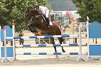 IMG_0013