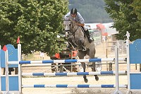 IMG_0016