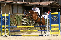 IMG_0005