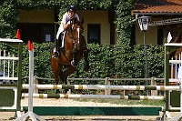 IMG_0007