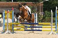 IMG_0012