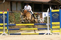 IMG_0019