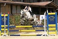 IMG_0029