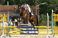IMG_0036