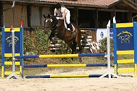 IMG_0041