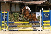 IMG_0052