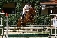 IMG_0061