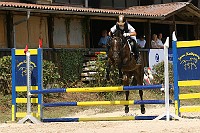 IMG_0008