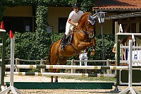 IMG_0010