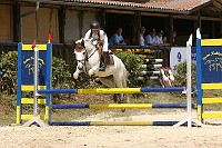 IMG_0013