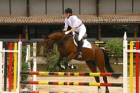 IMG_0041