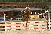 IMG_0061