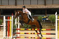 IMG_0070