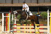 IMG_0085