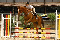 IMG_0123