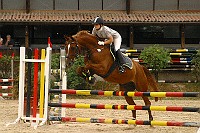 IMG_0053